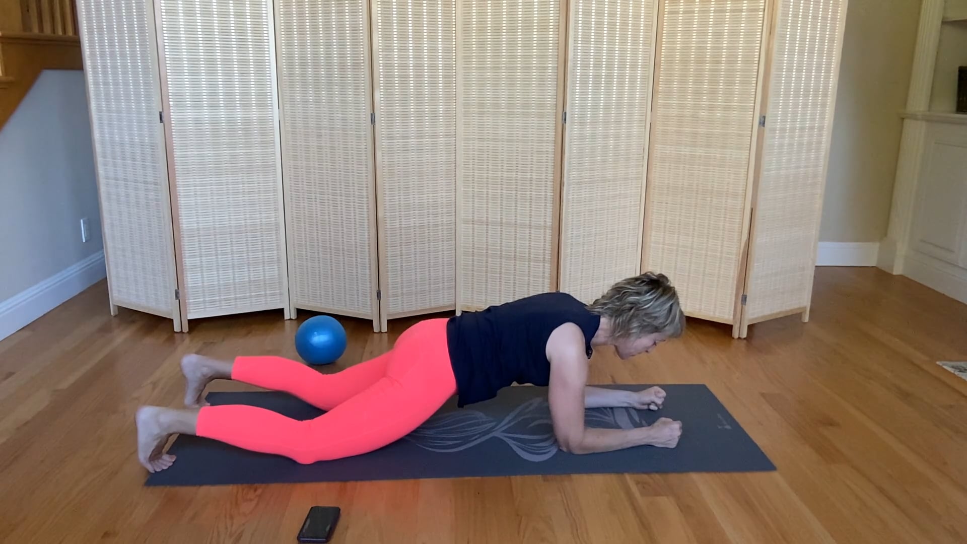 Plank Snack (4 min)