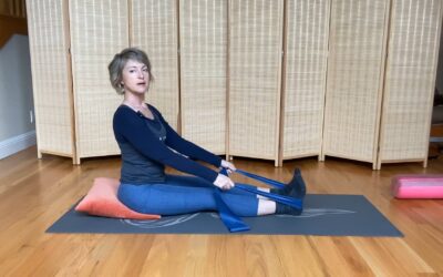 Seated Stretches (10 min)