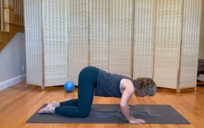 Upper Body Push and Pull (6 min)