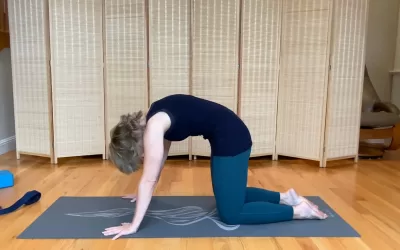 Pushups & Core (9 min)