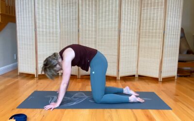 Arch Curl Stretch (7 min)